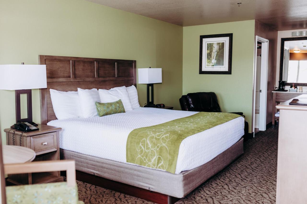 Pacific Inn Motel フォークス エクステリア 写真